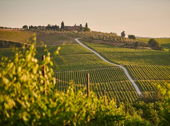 Toscana: tour Gastronómico en Chianti